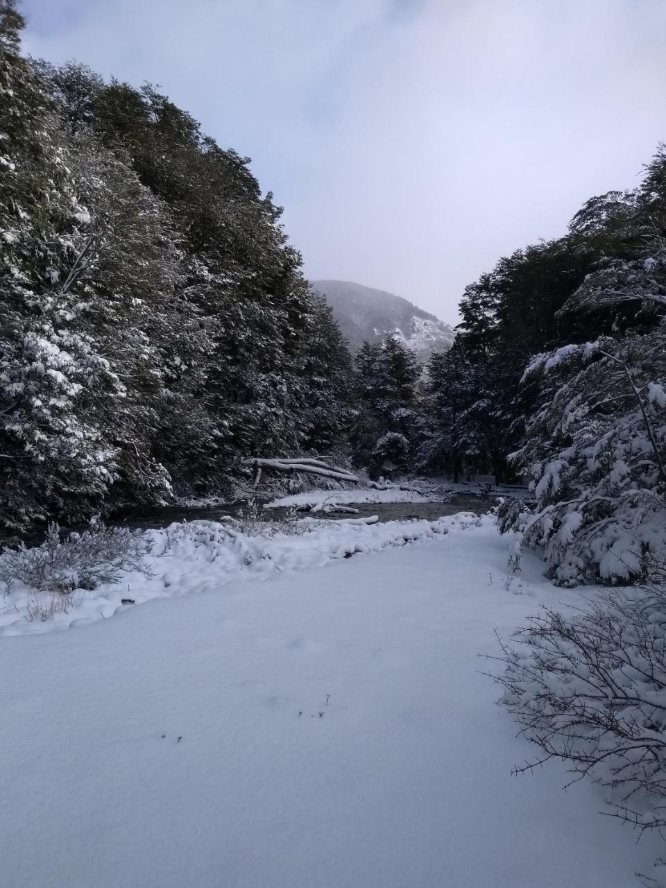 Apartamento El Maiten San Carlos de Bariloche Bagian luar foto